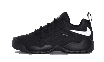 Nike SB Darwin Low Supreme Black authentique