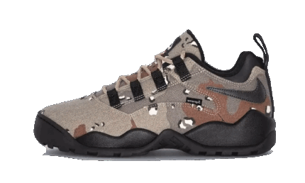 Nike SB Darwin Low Supreme Desert Camo authentique