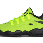 Nike SB Darwin Low Supreme Volt authentique