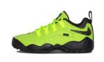 Nike SB Darwin Low Supreme Volt authentique