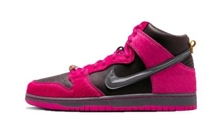 Nike SB Dunk High Run The Jewels authentique
