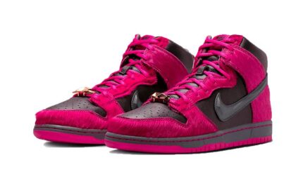 Nike SB Dunk High Run The Jewels - vue 2