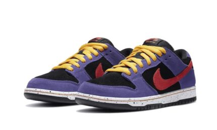 Nike SB Dunk Low ACG Terra - vue 2