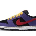 Nike SB Dunk Low ACG Terra authentique