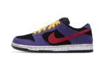 Nike SB Dunk Low ACG Terra authentique
