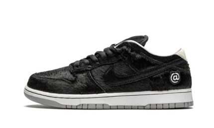Nike SB Dunk Low BE@RBRICK Medicom Toy authentique