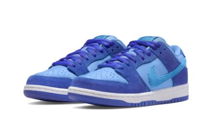 Nike SB Dunk Low Blue Raspberry - vue 2