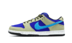 Nike SB Dunk Low Celadon authentique
