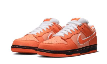 Nike SB Dunk Low Concepts Orange Lobster - vue 2