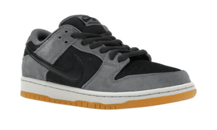 Nike SB Dunk Low Dark Smoke Grey - vue 2