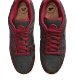 Nike SB Dunk Low Riot Skateshop - vue 3