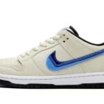 Nike SB Dunk Low Truck it authentique