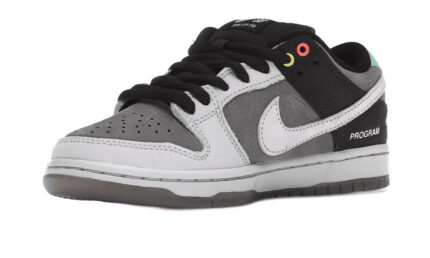 Nike SB Dunk Low VX1000 - vue 2