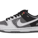 Nike SB Dunk Low VX1000 authentique