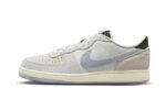 Nike Terminator Low Liberté authentique