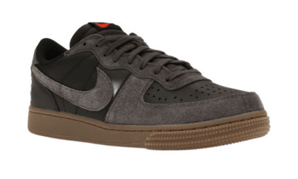 Nike Terminator Low Medium Ash Gum - vue 2