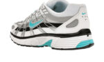 P-6000 Dusty Cactus - vue 4