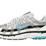 P-6000 Dusty Cactus authentique