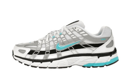 P-6000 Dusty Cactus authentique