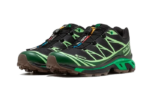 Salomon Advanced XT-6 Gore-Tex Eden Green Ash - vue 2