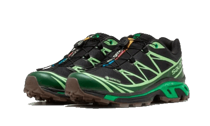 Salomon Advanced XT-6 Gore-Tex Eden Green Ash - vue 2