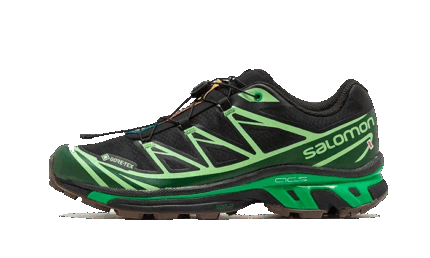 Salomon Advanced XT-6 Gore-Tex Eden Green Ash authentique