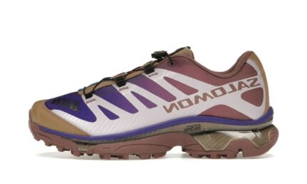 Salomon XT-4 OG Portabella Rose Taupe authentique