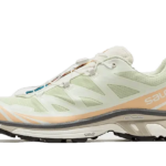 Salomon XT-6 Aloe Wash Feather Grey authentique