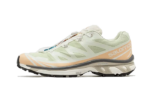 Salomon XT-6 Aloe Wash Feather Grey authentique
