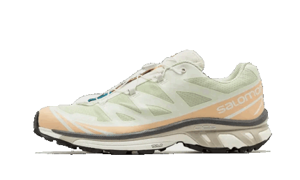 Salomon XT-6 Aloe Wash Feather Grey authentique
