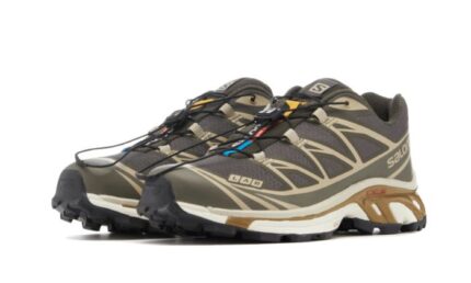 Salomon XT-6 Beluga Dull Gold - vue 2