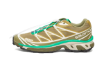 Salomon XT-6 Dried Herb authentique