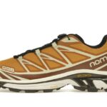 Salomon XT-6 END Porcini authentique