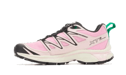 Salomon XT-6 Expanse Sandy Liang authentique