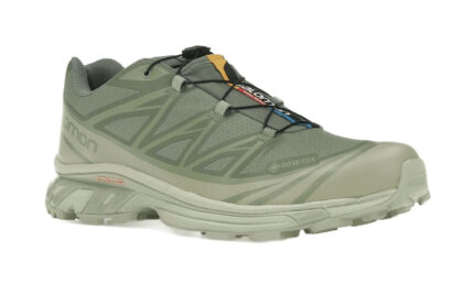 Salomon XT-6 Gore-Tex Desert Sage Lily Pad - vue 2