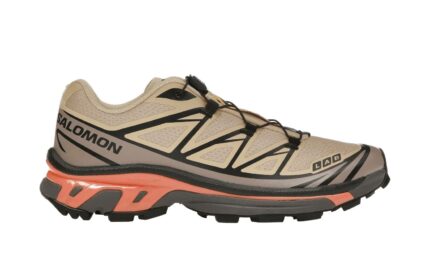 Salomon XT-6 Hazelnut Quail - vue 2
