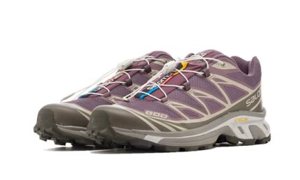 Salomon XT-6 Plum Kitten - vue 2