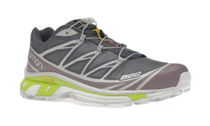Salomon XT-6 Quiet Shade Evening Primerose Eggplant - vue 2