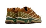 Salomon XT-6 Rubber Lizard - vue 3