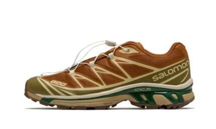 Salomon XT-6 Rubber Lizard authentique