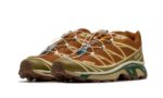 Salomon XT-6 Rubber Lizard - vue 2