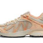 Salomon XT-Whisper Embroidery Asparagus Green Almond Cream authentique