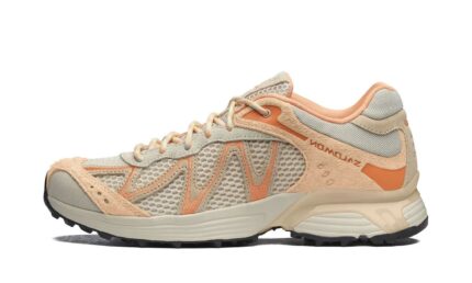 Salomon XT-Whisper Embroidery Asparagus Green Almond Cream authentique