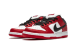 Nike SB Dunk Low Pro Chicago - vue 2