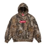 Supreme Box Logo Hooded Sweatshirt Realtree AP Camo authentique