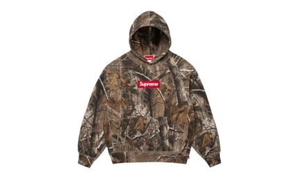 Supreme Box Logo Hooded Sweatshirt Realtree AP Camo authentique