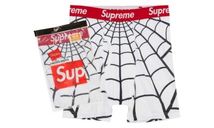 Supreme Hanes Spider-Man Boxer Briefs (2 Pack) White authentique